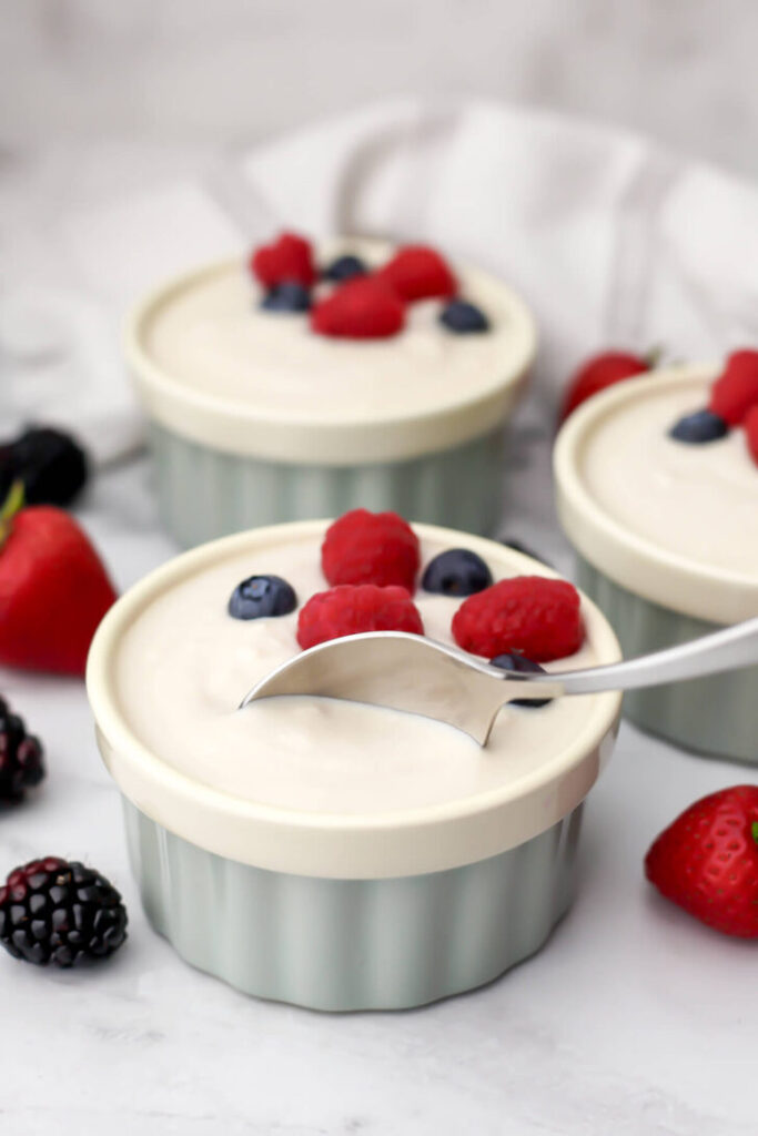 Vegan Greek Yogurt with Nuts & Berries